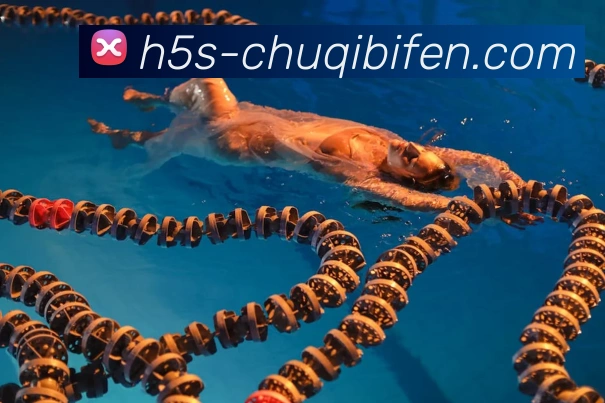 出奇体育新闻服务体系